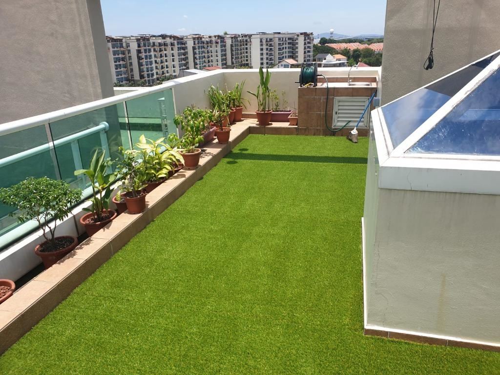 roofgrass1025 roofgrass1025