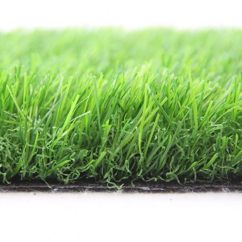 exterior grass25