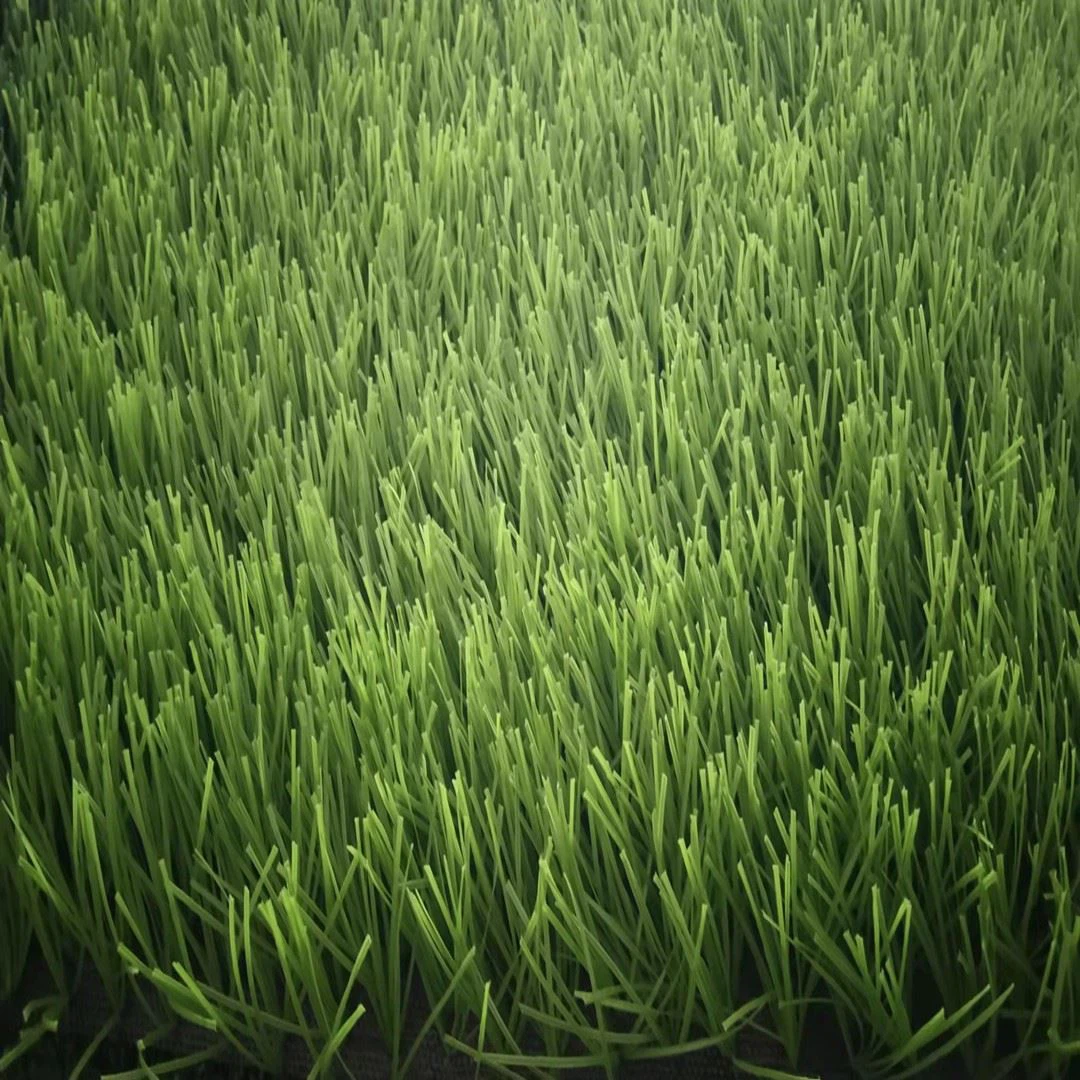 lightgreenfootballgrass
