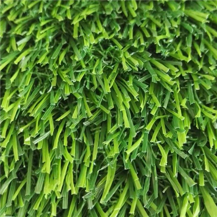 Turf Grass Carpet