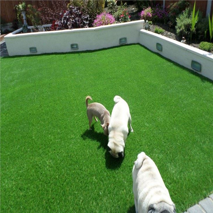 Pet Friendly Turf Artificial Grass Pet Turf Rolls