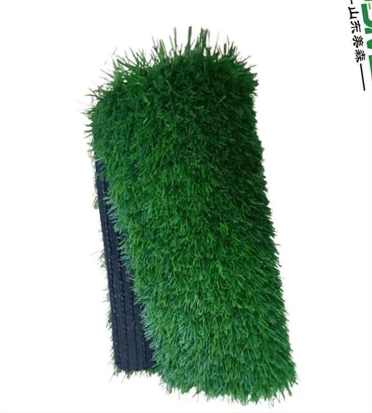 leiure lawn grass