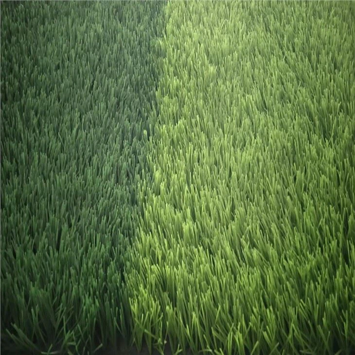 Infilling Football Grass 50mm 8820 Density