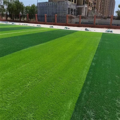 SDMS Sports Turf for School Playground
