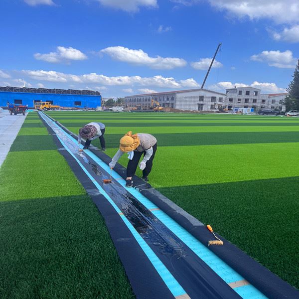 Football Field Turf