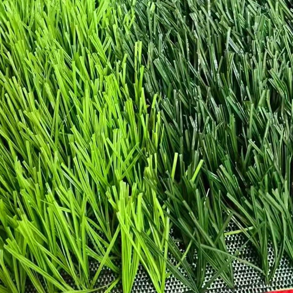bigreen football grass bigreen football grass